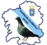 Logo federacion colombofila gallega